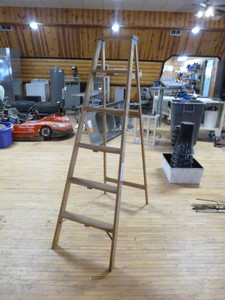lot 67 image: Davidson Wooden Ladder