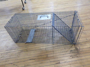 lot 119 image: Havahart Large Live Trap