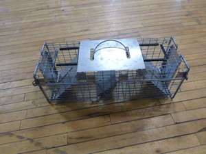 lot 121 image: Little Giant Live Trap