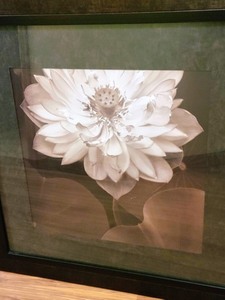 lot 8 image: Large Framed Lotus Print