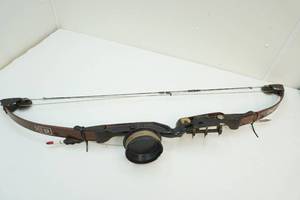 Compound bow with reel