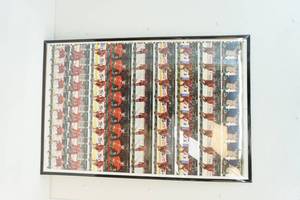 Large wild poster