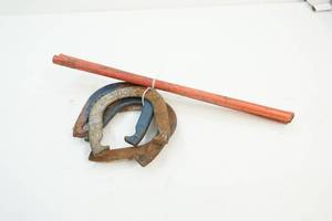 horse shoes, pins