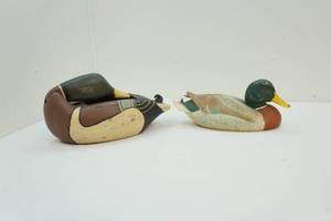 Duck dcor