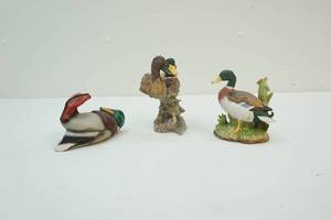Duck dcor
