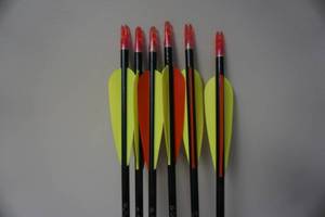 lot 17 image: 6  -  Easton XX75 Game Getter Aluminum Arrows