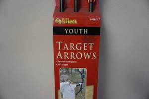lot 31 image: Allen Model 9026-3  3 26 Youth Durable Fiberglass Target Arrows