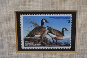 Terry RedlinBanded Canada Goose