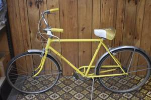 Schwinn Bicycle