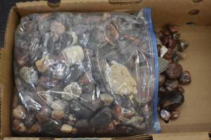 Polished Agates