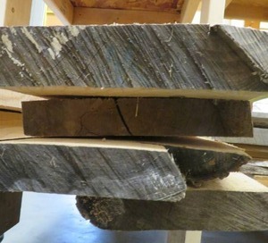 lot 68 image: ROUGH CUT  SAWN MAPLE PLANKS