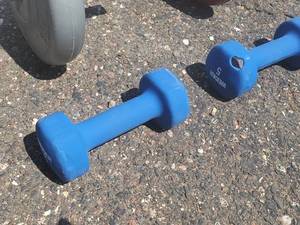 lot 20 image: Assorted Free Weights