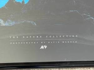 lot 255 image: The Nature Collection Framed Art Photography By David Muench