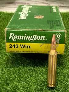 50 Round .243 Win Ammo Ammunition