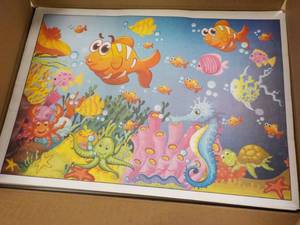 case of 1000 Kids 2 Sided Placemats...
