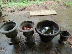 lot 416 image: Four Planters