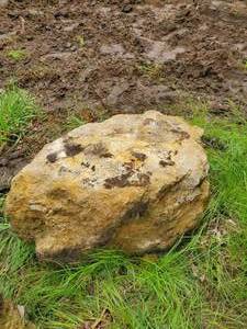 lot 440 image: Limestone Boulder