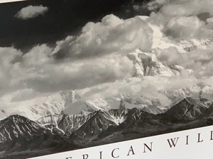 lot 35 image: The American Wilderness- Ansel Adams Framed Print