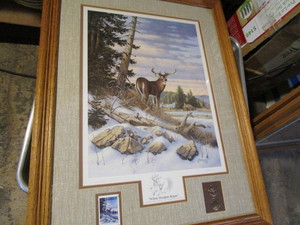 Whitetail by Derk