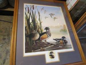 Ducks by Stans