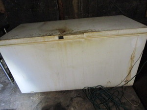 Chest Freezer
