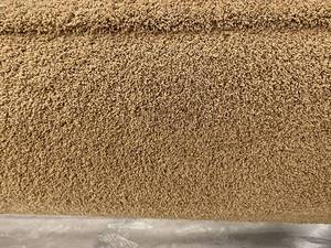 lot 427 image: 12 x 736 Roll (882 Sq Ft) Beaulieu Waterford Court Wheat Carpet