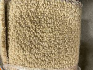 lot 433 image: 12 x 14 Roll (168 Sq Ft) Karastan Cobble Shore Sunlit Sand Carpet