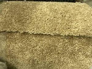 lot 434 image: 12 x 12 Roll (144 Sq Ft) Shaw Silky Carpet