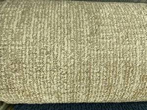 lot 438 image: 12 x 206 Roll (246 Sq Ft) Dixie Home Seagate Riff Carpet