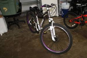 lot 435 image: Genesis Whirlwind Womens 23 Trail Bike with 18 PurpleWhite Frame