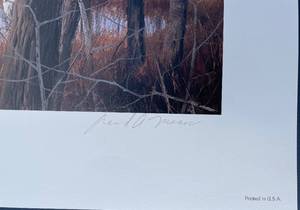 lot 23 image: Large, Wildlife art print signed and numbered in Mint condition. 