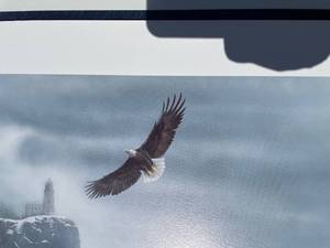 lot 18 image: Large, Shrink wrapped Wildlife art print signed and numbered in Mint condition. 