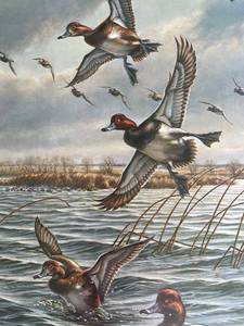 lot 26 image: Large, Shrink wrapped, Wildlife art print signed and numbered in Mint condition. 