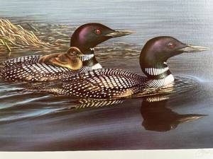 lot 24 image: Large, Wildlife art print signed and numbered in Mint condition. 