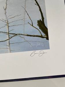 lot 33 image: Large Wildlife art print signed and numbered in Mint condition.