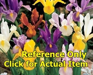 lot 185 image: 2 gallon Assorted Bearded Iris