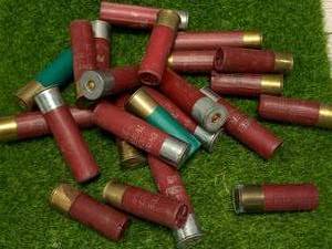 lot 62 image: 23ea 12 Gauge Shotgun Shells