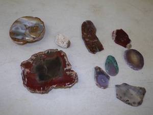 Polished Rock Slices