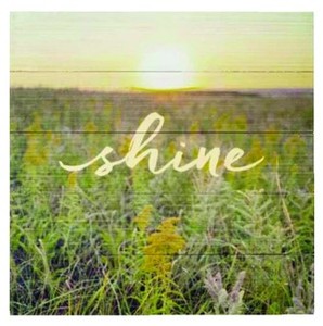 lot 754 image: Hallmark Wall Sign Bundle 6 - Shine & Its Whats Outside That Counts