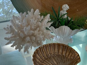 BeachOcean Themed Decor