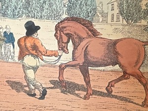 RARE Copperplate Engraving from The English Humor (1814)