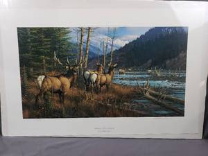 lot 10 image: Athabasca River Monarch by Michael Sieve Number 418850