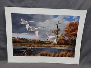 lot 11 image: U.S. Bank Presented Autumn at Baker - Trumpeter Swans by David A. Maas
