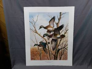 lot 14 image: Wildlife Heritage - Woodies by James Killen