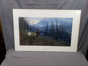 lot 15 image: Athabasca River Challenge by Michael Sieve Number 418850