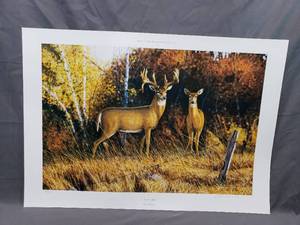 lot 18 image: Autumn Glow by Stephen Hamrick Number 171650