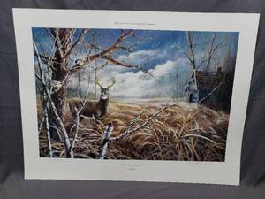 lot 22 image: Curious Chatter by Ken Kylmanen Number 502950