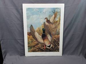 lot 40 image: Joining up - Mallards by R. Mendius 1979 Number 491650