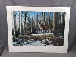 lot 41 image: North Ridge Whitetails by Jim Hansel Number 437980