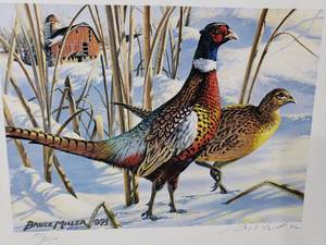 lot 48 image: 1993 Minnesota Pheasant Habitat Stamp Print by Bruce Miller